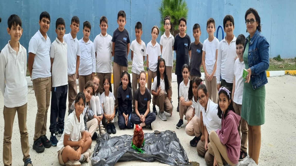 Kayaçların Oluşumu